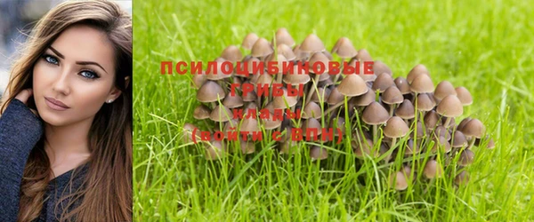 мяу мяу мука Каменск-Шахтинский