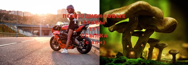 круглые Каменка