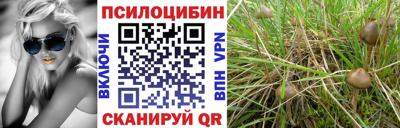 Купить закладки  Нижневартовск  Галлюциногенные грибы Psilocybine cubensis 
